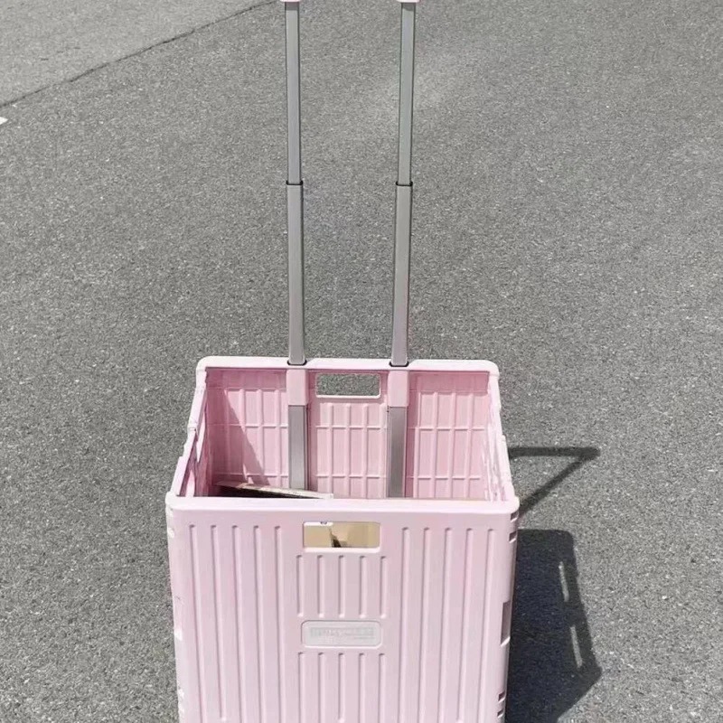 Chariot de courses pliable pra - Outdoor Camping Trolley avis et prix