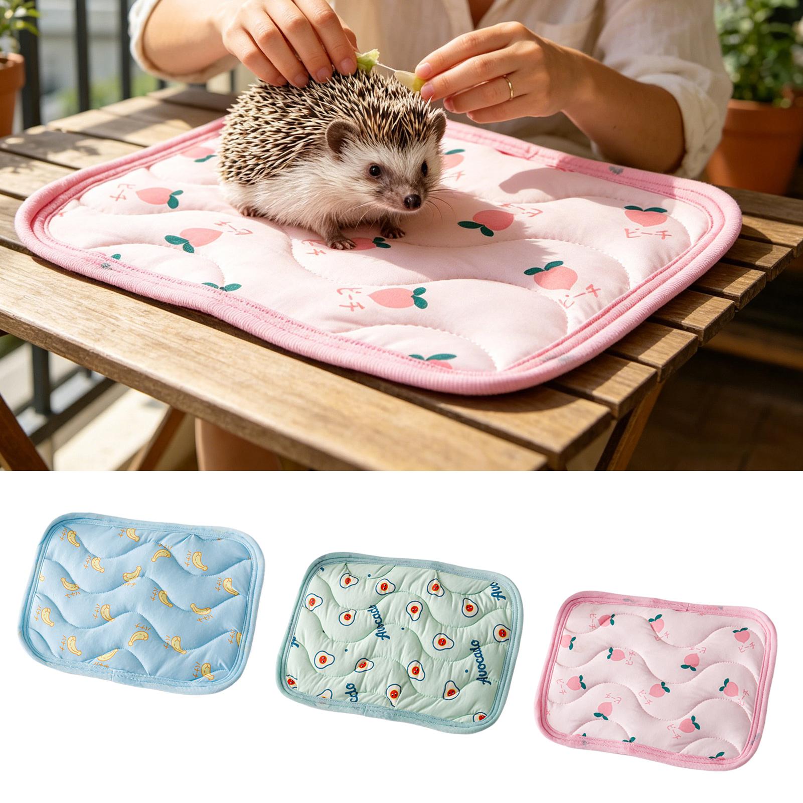 Tapis rafraîchissant pour anim - Outdoor Camping Dog Bed avis et prix
