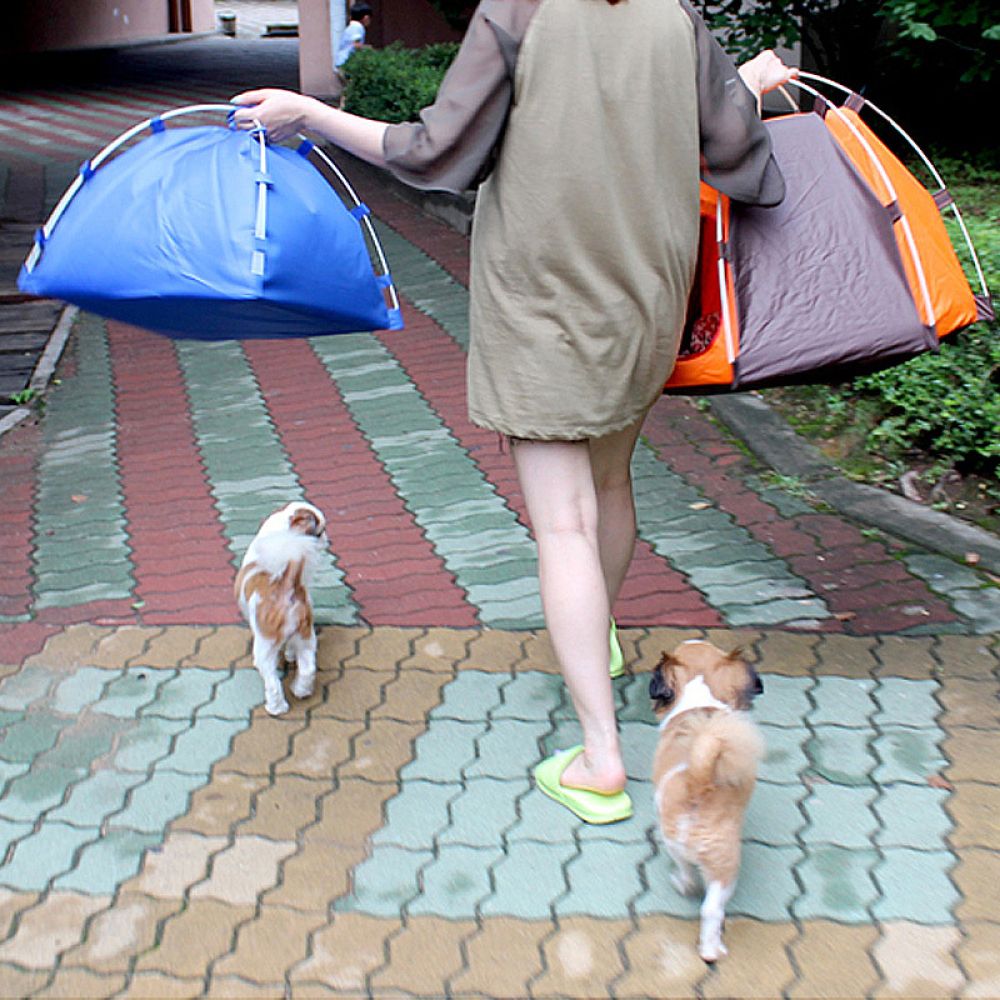 Tente portable pour chien, abr - Outdoor Camping Dog Bed avis et prix