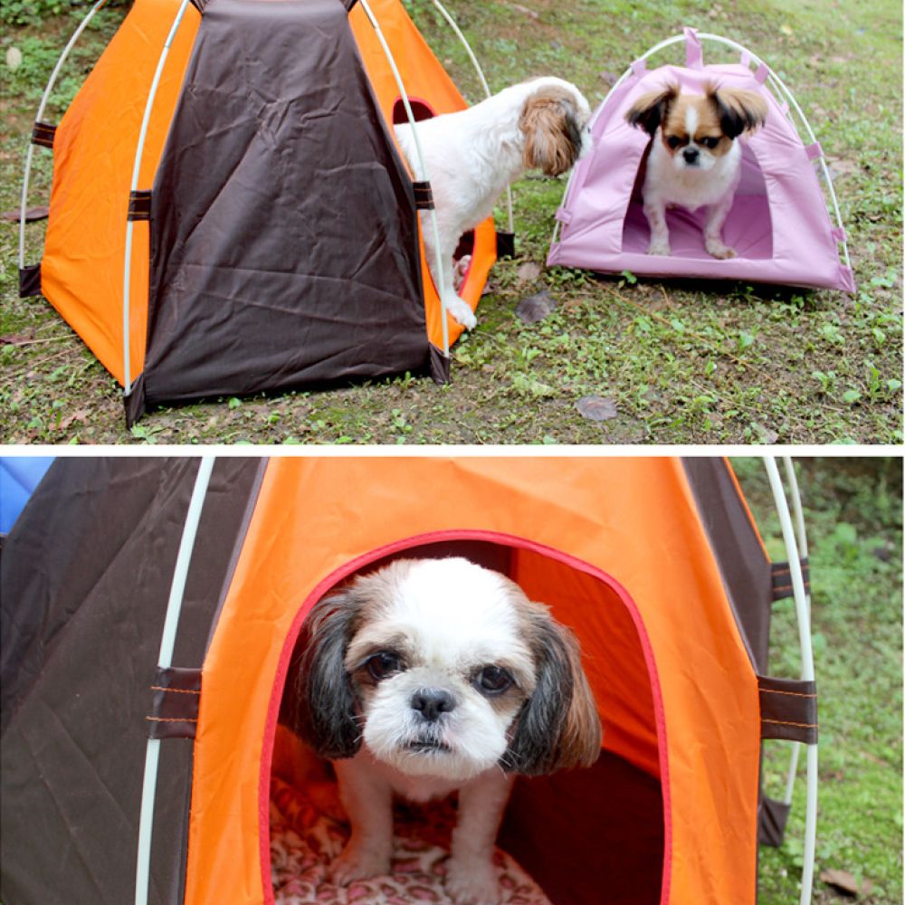 Tente portable pour chien, abr - Outdoor Camping Dog Bed avis et prix
